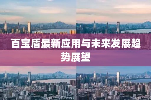 百宝盾最新应用与未来发展趋势展望