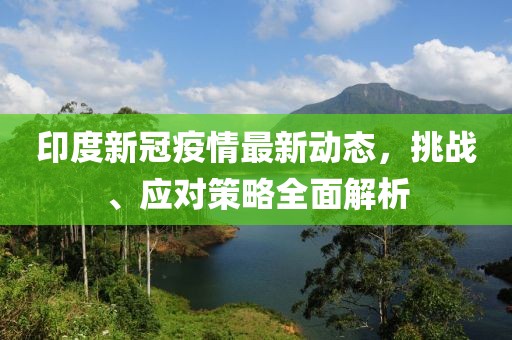 印度新冠疫情最新动态，挑战、应对策略全面解析