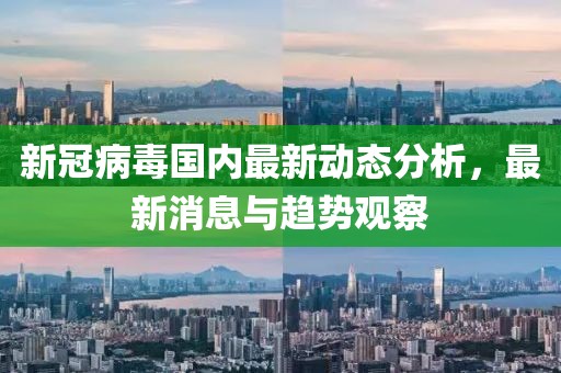 新冠病毒国内最新动态分析，最新消息与趋势观察