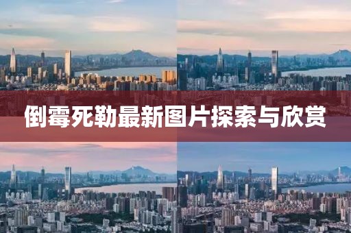 倒霉死勒最新图片探索与欣赏
