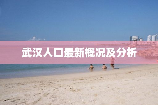 武汉人口最新概况及分析
