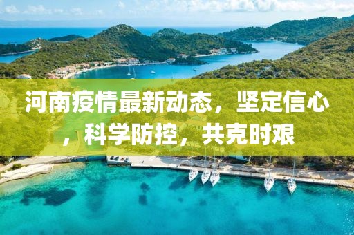 河南疫情最新动态，坚定信心，科学防控，共克时艰