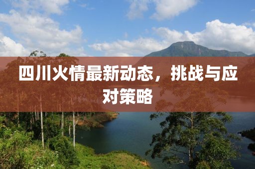 四川火情最新动态，挑战与应对策略