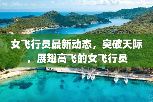 女飞行员最新动态，突破天际，展翅高飞的女飞行员