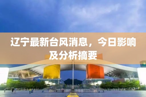 辽宁最新台风消息，今日影响及分析摘要