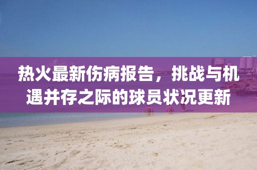 热火最新伤病报告，挑战与机遇并存之际的球员状况更新