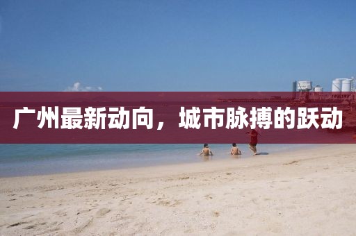 广州最新动向，城市脉搏的跃动