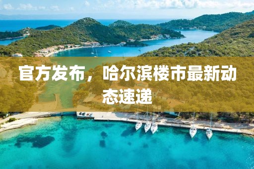 官方发布，哈尔滨楼市最新动态速递