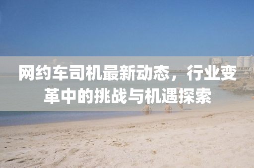 网约车司机最新动态，行业变革中的挑战与机遇探索