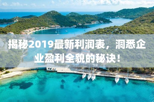 揭秘2019最新利润表，洞悉企业盈利全貌的秘诀！