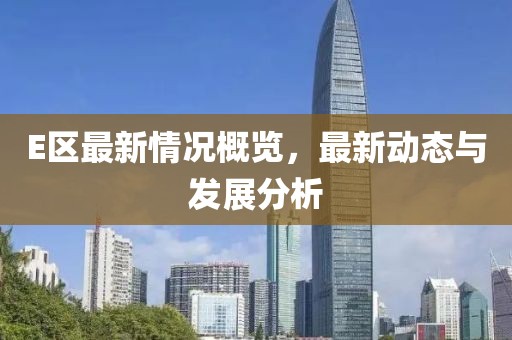 E区最新情况概览，最新动态与发展分析