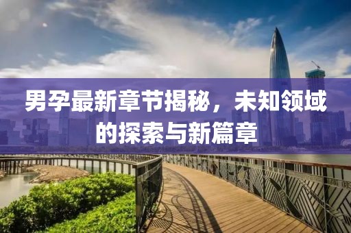 男孕最新章节揭秘，未知领域的探索与新篇章