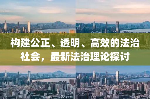 构建公正、透明、高效的法治社会，最新法治理论探讨
