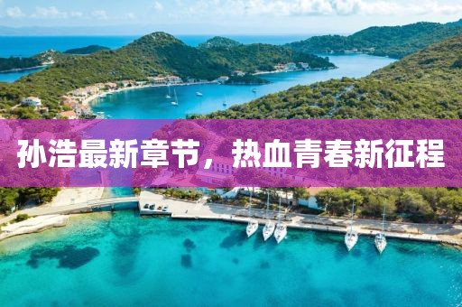 孙浩最新章节，热血青春新征程