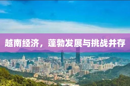 越南经济，蓬勃发展与挑战并存