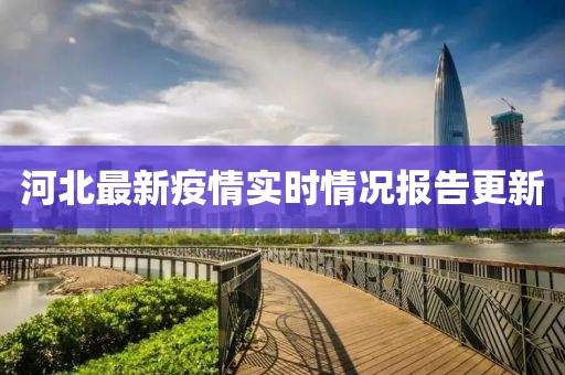 河北最新疫情实时情况报告更新
