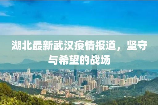 湖北最新武汉疫情报道，坚守与希望的战场