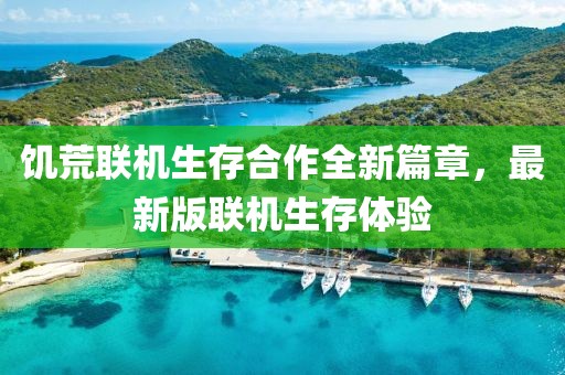 饥荒联机生存合作全新篇章，最新版联机生存体验