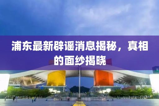 浦东最新辟谣消息揭秘，真相的面纱揭晓