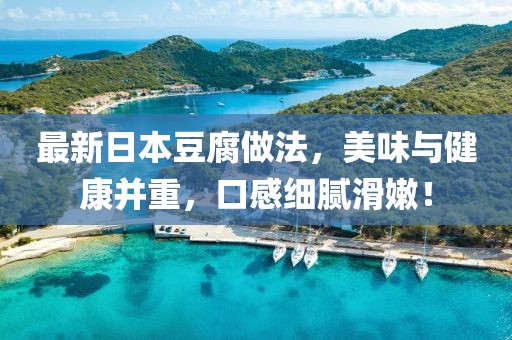 最新日本豆腐做法，美味与健康并重，口感细腻滑嫩！