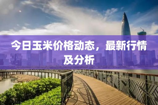 今日玉米价格动态，最新行情及分析
