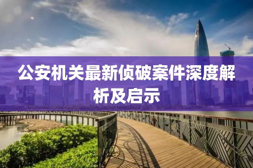 公安机关最新侦破案件深度解析及启示
