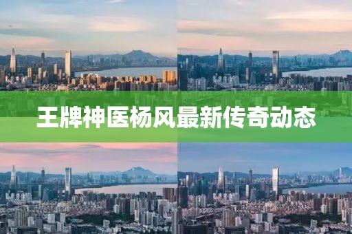 王牌神医杨风最新传奇动态