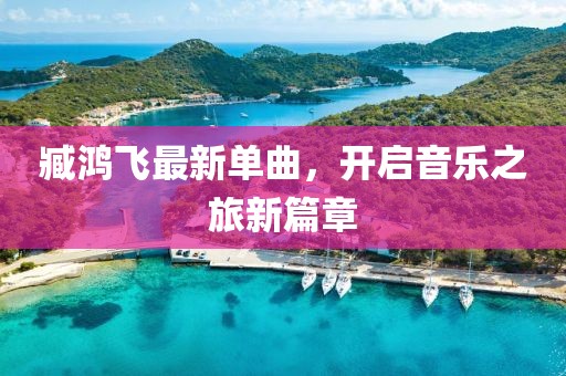 臧鸿飞最新单曲，开启音乐之旅新篇章
