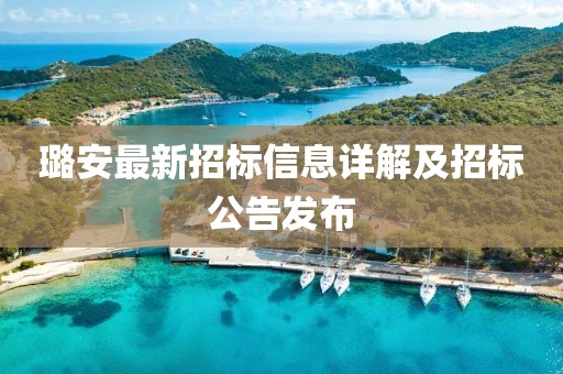璐安最新招标信息详解及招标公告发布