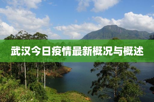 武汉今日疫情最新概况与概述