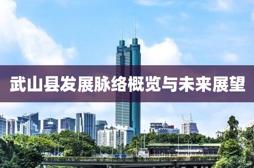 武山县发展脉络概览与未来展望