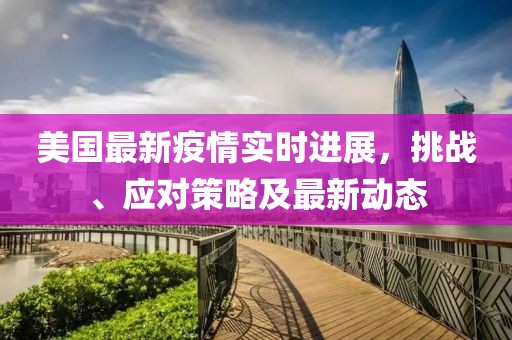 美国最新疫情实时进展，挑战、应对策略及最新动态