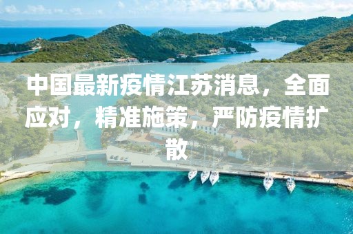 中国最新疫情江苏消息，全面应对，精准施策，严防疫情扩散
