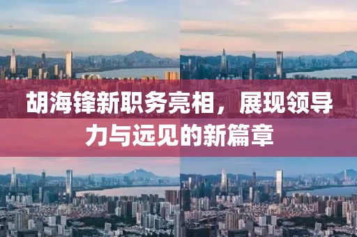 胡海锋新职务亮相，展现领导力与远见的新篇章