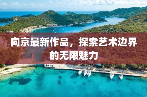 向京最新作品，探索艺术边界的无限魅力