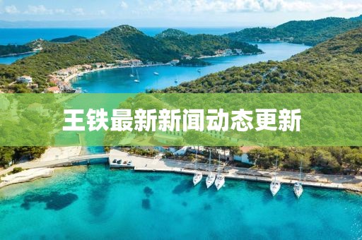 王铁最新新闻动态更新