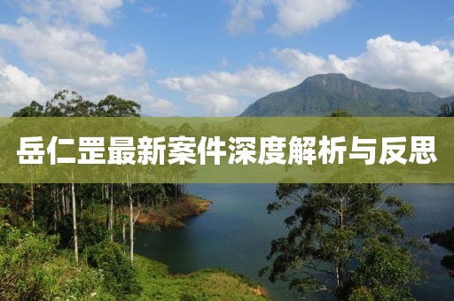 岳仁罡最新案件深度解析与反思