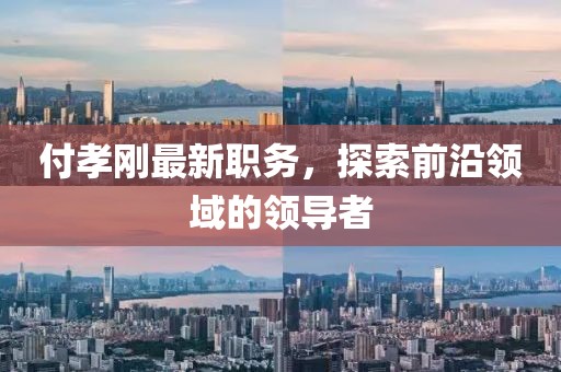 付孝刚最新职务，探索前沿领域的领导者