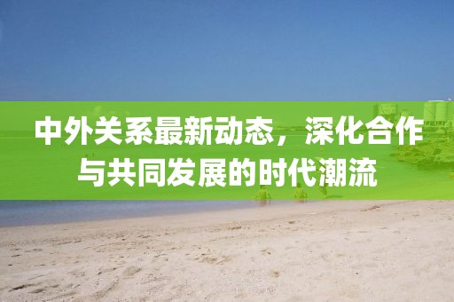 中外关系最新动态，深化合作与共同发展的时代潮流