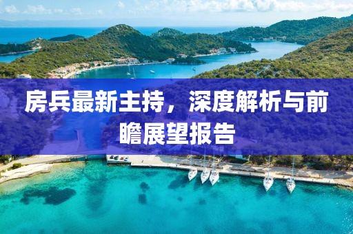 房兵最新主持，深度解析与前瞻展望报告