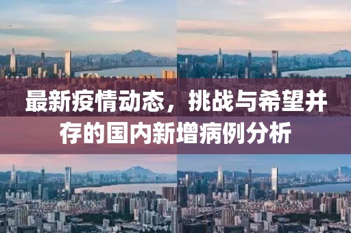 最新疫情动态，挑战与希望并存的国内新增病例分析