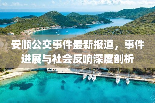 安顺公交事件最新报道，事件进展与社会反响深度剖析