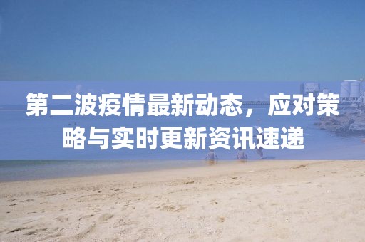 第二波疫情最新动态，应对策略与实时更新资讯速递
