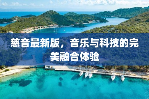 慈音最新版，音乐与科技的完美融合体验
