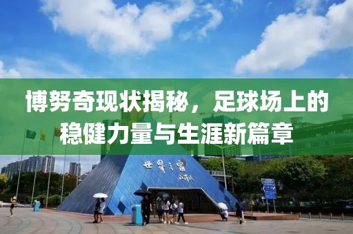 博努奇现状揭秘，足球场上的稳健力量与生涯新篇章