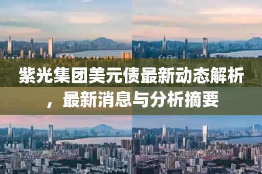 紫光集团美元债最新动态解析，最新消息与分析摘要