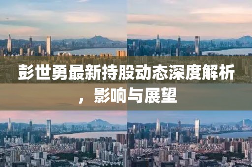 彭世勇最新持股动态深度解析，影响与展望