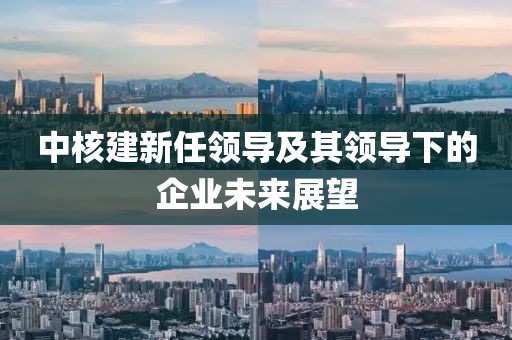 中核建新任领导及其领导下的企业未来展望