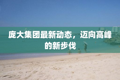 庞大集团最新动态，迈向高峰的新步伐