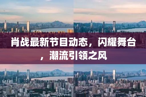 肖战最新节目动态，闪耀舞台，潮流引领之风
